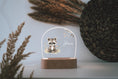 Load image into Gallery viewer, Nachtlicht "Waschbär" personalisiert aus Acryl, Holzfuß Gravur, Babygeschenk Geburt, Kinderzimmer, Persönliches Geschenk zur Taufe by Woodlandkid - Nachtlichter - Night Lights