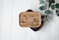 Load image into Gallery viewer, Lunch Box aus Edelstahl mit Bambusdeckel | Brotzeit Dose mit bunten Dinosaurier Motiven | Breite Bügel, einfache Handhabung für Kinder
