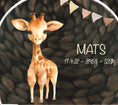 Bild in Galerie-Betrachter laden, Nachtlicht "Giraffe" personalisiert aus Acryl, Holzfuß Gravur, Babygeschenk Geburt, Kinderzimmer, Persönliches Geburtstagsgeschenk, Taufe